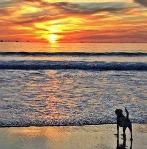 Meet your Posher, Dale